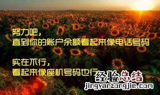 心灵鸡汤经典励志语录 心灵鸡汤经典励志语录分享