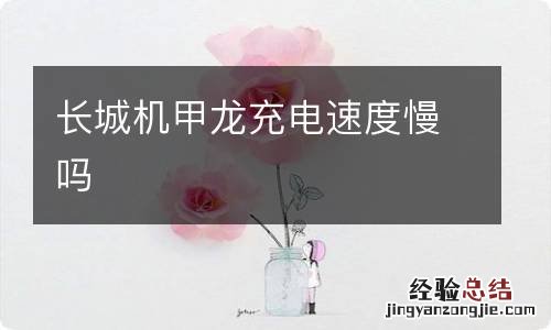 长城机甲龙充电速度慢吗