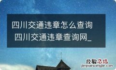 四川交通违章怎么查询 四川交通违章查询网_最新四川违...