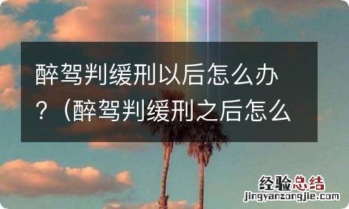 醉驾判缓刑之后怎么办 醉驾判缓刑以后怎么办?