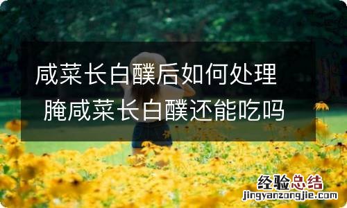 咸菜长白醭后如何处理 腌咸菜长白醭还能吃吗