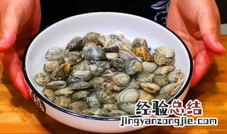 圆蛤蜊吐沙快的方法 花蛤吐沙最快的方法介绍