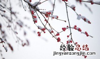 小雪有啥风俗 小雪有哪些习俗