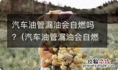 汽车油管漏油会自燃吗 汽车油管漏油会自燃吗?