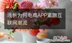 浅析为何电商APP紧跟互联网潮流