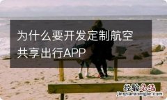 为什么要开发定制航空共享出行APP