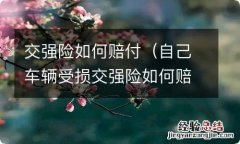 自己车辆受损交强险如何赔付 交强险如何赔付