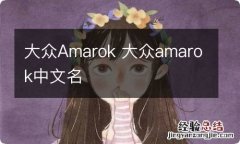 大众Amarok 大众amarok中文名