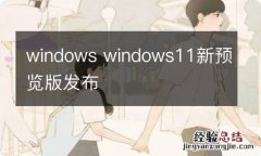 windows windows11新预览版发布