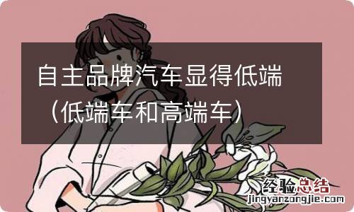 低端车和高端车 自主品牌汽车显得低端