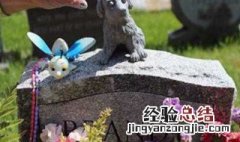 死去的宠物属于什么垃圾 死去的宠物属于什么垃圾分类