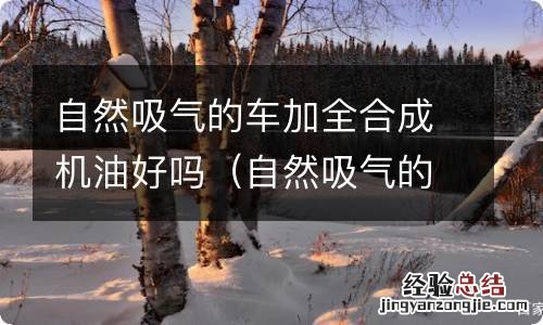 自然吸气的车加全合成机油好吗视频 自然吸气的车加全合成机油好吗