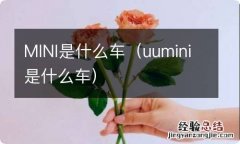 uumini是什么车 MINI是什么车