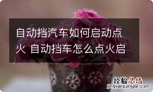 自动挡汽车如何启动点火 自动挡车怎么点火启动