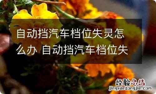 自动挡汽车档位失灵怎么办 自动挡汽车档位失灵怎么办路虎极光