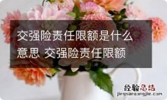 交强险责任限额是什么意思 交强险责任限额