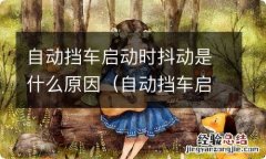 自动挡车启动时抖动是什么原因引起的 自动挡车启动时抖动是什么原因