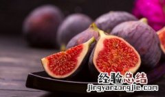 无花果种值方法 无花果种苗如何种