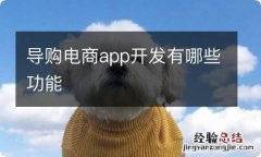 导购电商app开发有哪些功能