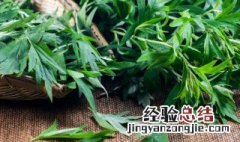 熏艾可以驱除蜈蚣吗 用艾叶熏屋子赶蜈蚣有用吗