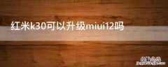 红米k30可以升级miui12吗