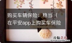 在平安app上购买车保险稳当吗 购买车辆保险：稳当