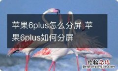 苹果6plus怎么分屏 苹果6plus如何分屏