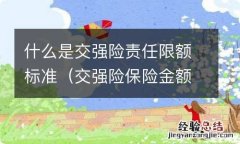 交强险保险金额和责任限额 什么是交强险责任限额标准