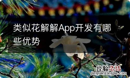 类似花解解App开发有哪些优势