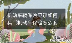 机动车保险怎么购买 机动车辆保险应该如何买