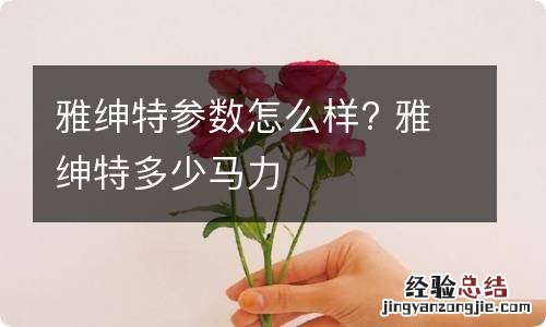 雅绅特参数怎么样? 雅绅特多少马力