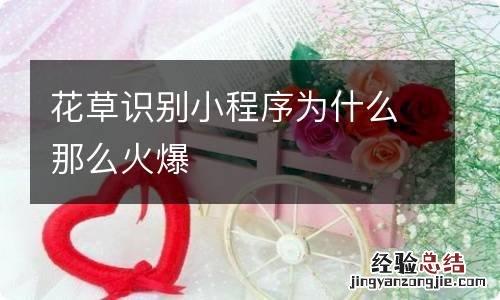 花草识别小程序为什么那么火爆