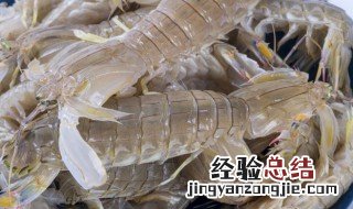 保鲜皮皮虾能吃吗 如何保鲜皮皮虾