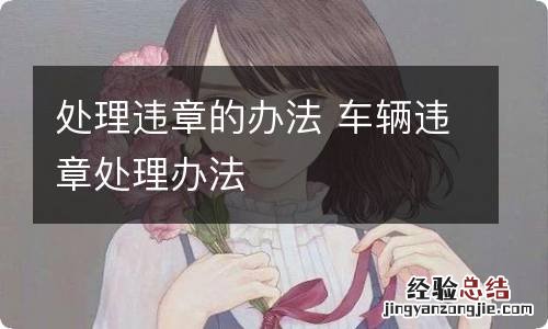 处理违章的办法 车辆违章处理办法