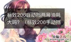 标致206手动挡油耗多少 标致206自动挡两厢油耗大吗？