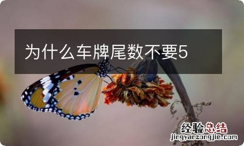 为什么车牌尾数不要5