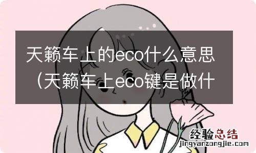 天籁车上eco键是做什么用呢 天籁车上的eco什么意思