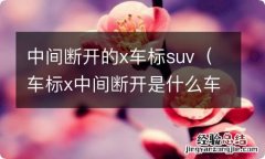 车标x中间断开是什么车 中间断开的x车标suv