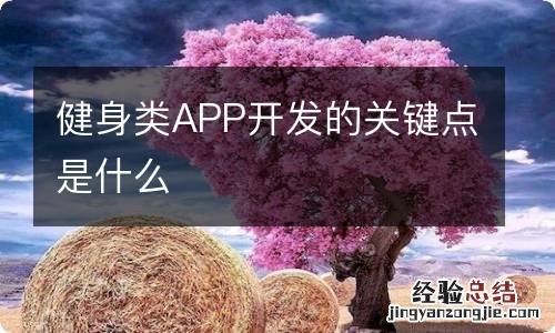 健身类APP开发的关键点是什么