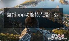 壁纸app功能特点是什么