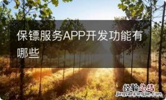 保镖服务APP开发功能有哪些