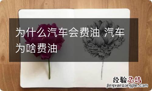 为什么汽车会费油 汽车为啥费油