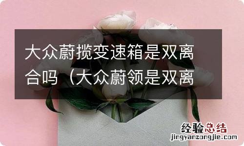 大众蔚领是双离合变速箱吗 大众蔚揽变速箱是双离合吗