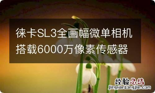 徕卡SL3全画幅微单相机搭载6000万像素传感器 售价51800元