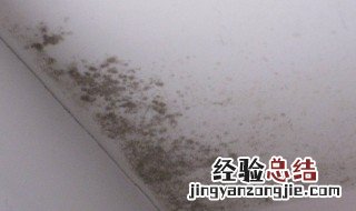 房顶去霉方法 如何解决房顶去霉