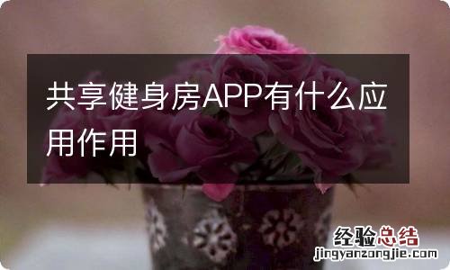 共享健身房APP有什么应用作用