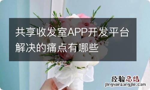 共享收发室APP开发平台解决的痛点有哪些