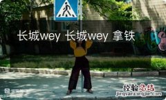 长城wey 长城wey 拿铁