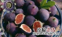 如何保鲜无花果 如何保鲜无花果最好