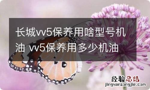 长城vv5保养用啥型号机油 vv5保养用多少机油